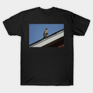 Hawk T-Shirt